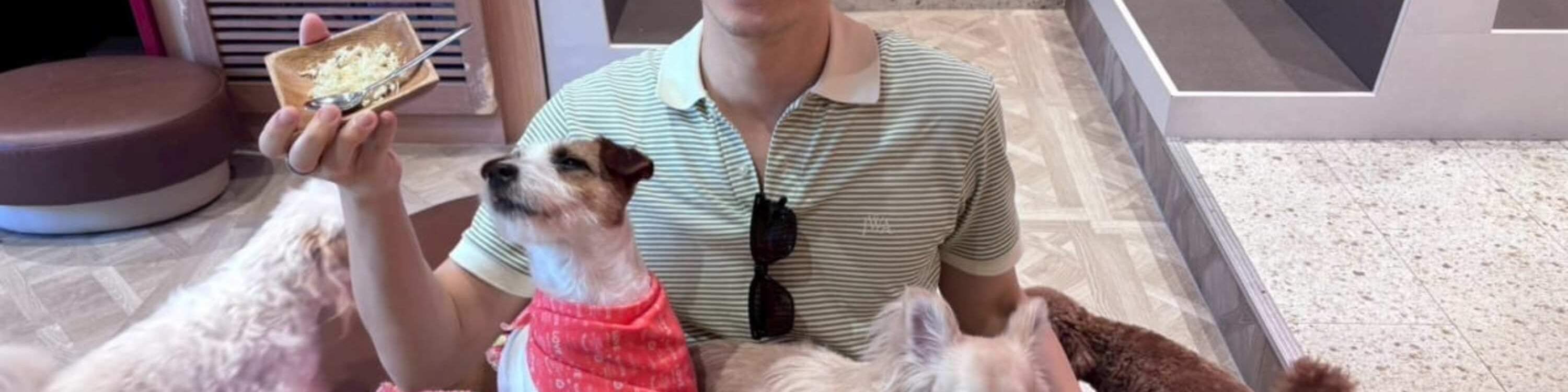 Play with Dogs at Dog Cafe Rio Kyoto[Dog Cafe Rio Kyoto] - Klook